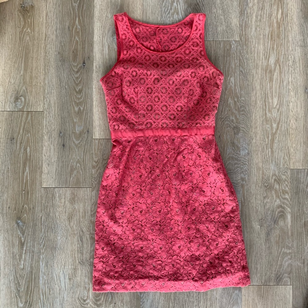 Pink Lacey dress with nude lining size 2